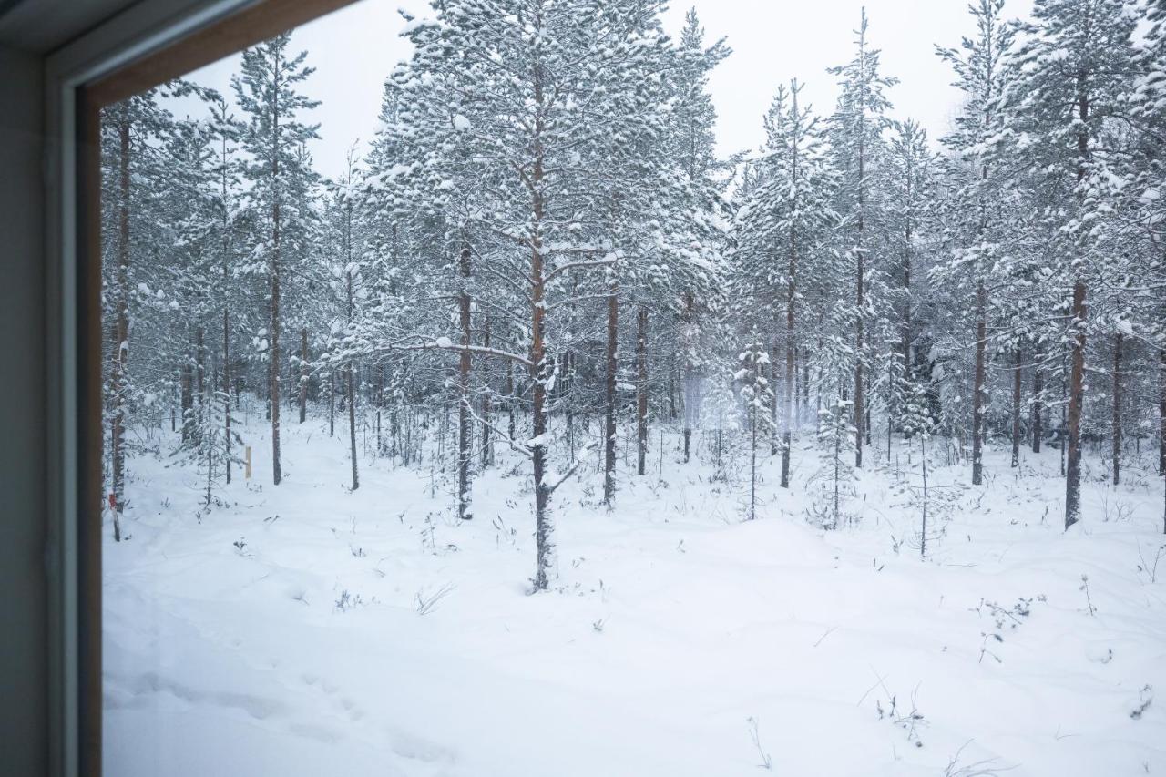 Premium Lapland Villa With Jaguzzi Rovaniemi Eksteriør bilde
